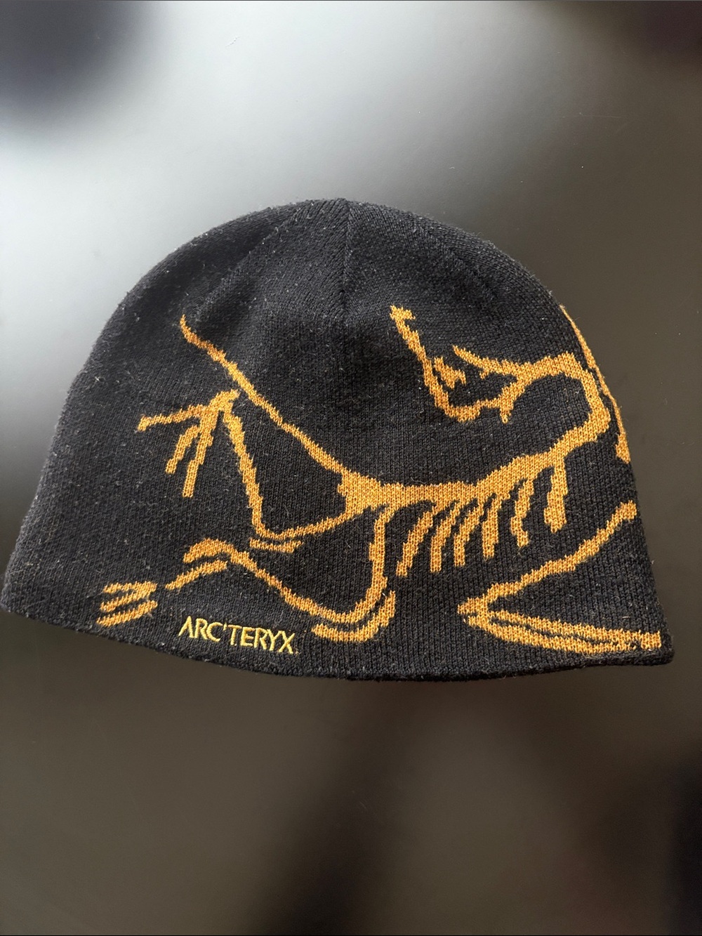 Arcteryx Beanie